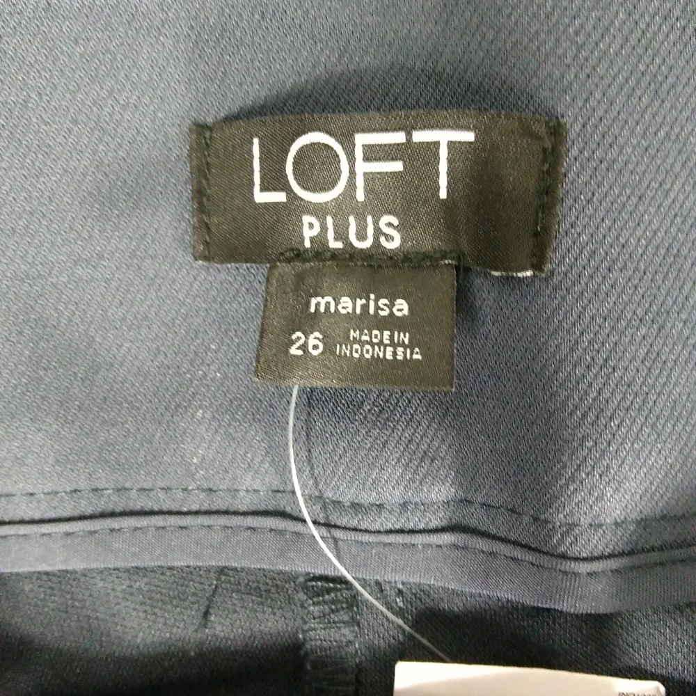 Loft Plus skinny pant